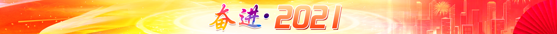 奋进·2021