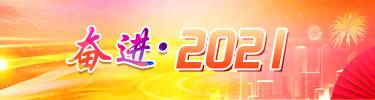 奋进·2021
