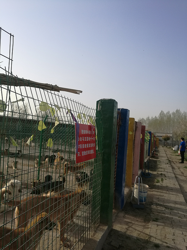 微信图片_20180328164308.jpg