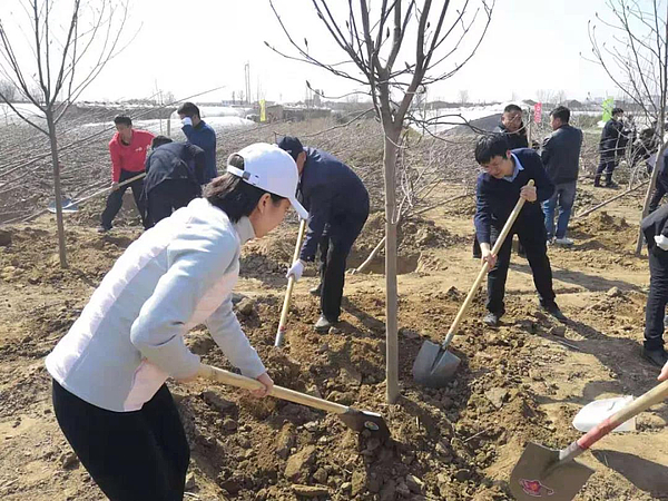 微信图片_20190313151555.jpg